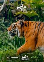 Watch Wild Heroes 123MovieFree