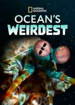 Watch Ocean's Weirdest 123MovieFree