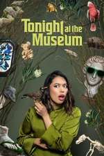 Watch Tonight At The Museum 123MovieFree
