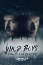 Watch Wild Boys: Strangers in Town 123MovieFree