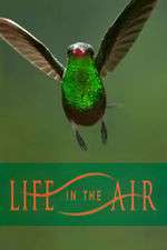Watch Life in the Air 123MovieFree
