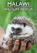 Watch Malawi Wildlife Rescue 123MovieFree
