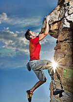 Watch Fight to Survive 123MovieFree