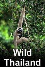 Watch Wild Thailand 123MovieFree