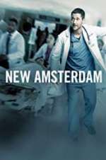 Watch New Amsterdam 123MovieFree