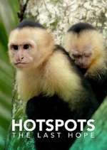 Watch Hotspots: The Last Hope 123MovieFree