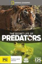 Watch Secret Life of Predators 123MovieFree
