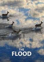 Watch The Flood 123MovieFree
