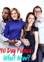 Watch 90 Day Fiancé: What Now? 123MovieFree
