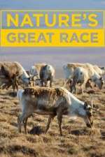 Watch Nature's Great Race 123MovieFree