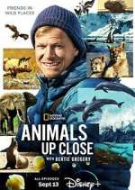 Watch Animals Up Close with Bertie Gregory 123MovieFree