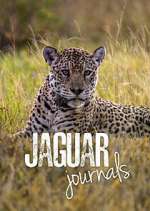 Watch Jaguar Journals 123MovieFree