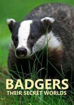 Watch Badgers: Their Secret Worlds 123MovieFree