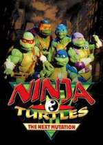 Watch Ninja Turtles: The Next Mutation 123MovieFree
