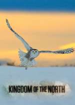 Watch Kingdom of the North 123MovieFree