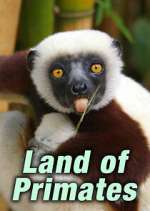 Watch Land of Primates 123MovieFree