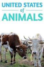 Watch United States of Animals 123MovieFree