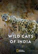Watch Wild Cats of India 123MovieFree