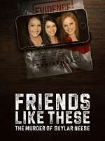 Watch Friends Like These: The Murder of Skylar Neese 123MovieFree