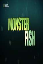 Watch National Geographic Monster Fish 123MovieFree