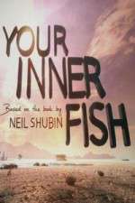 Watch Your Inner Fish 123MovieFree