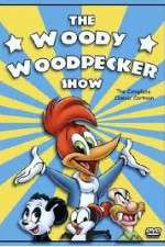 Watch The Woody Woodpecker Show 123MovieFree