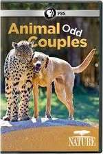Watch Animal Odd Couples 123MovieFree
