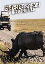 Watch Secret Safari: Into the Wild 123MovieFree