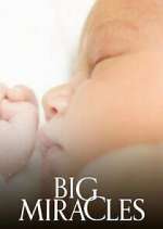 Watch Big Miracles 123MovieFree
