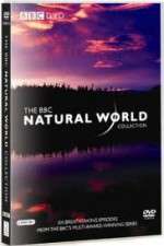 Watch The Natural World 123MovieFree
