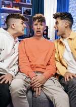 bros in control tv poster