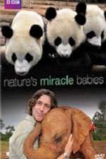 Watch Natures Miracle Babies 123MovieFree