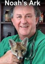 Watch Noah's Ark 123MovieFree