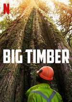 Watch Big Timber 123MovieFree