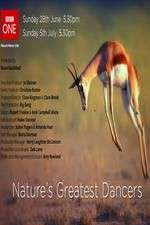 Watch Nature's Greatest Dancers 123MovieFree
