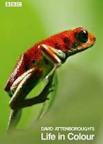 Watch Attenborough's Life in Colour 123MovieFree