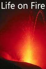 Watch Life on Fire 123MovieFree