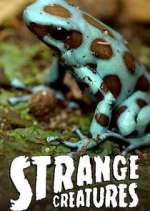 Watch Strange Creatures 123MovieFree