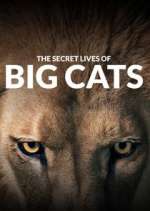 Watch The Secret Lives of Big Cats 123MovieFree