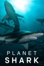 Watch Planet Shark 123MovieFree