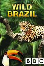 Watch Wild Brazil 123MovieFree