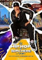 Watch Hip Hop Was Born Here 123MovieFree