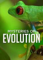 Watch Mysteries of Evolution 123MovieFree