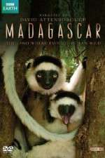 Watch Madagascar 123MovieFree