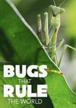 Watch Bugs that Rule the World 123MovieFree