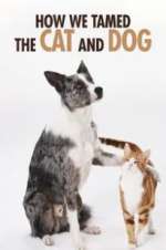 Watch How We Tamed the Cat and Dog 123MovieFree