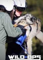 Watch Wild Ops 123MovieFree