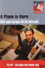 Watch A Plane Is Born 123MovieFree