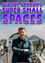 Watch Dermot Bannon's Super Small Spaces 123MovieFree