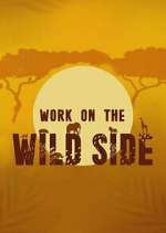 Watch Work on the Wild Side 123MovieFree